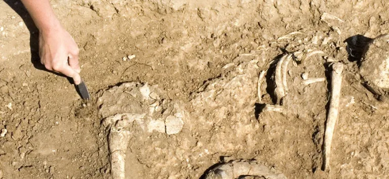 علم الآثار (Archaelogy)