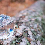 في أسبقيّة الميتافيزيقا على الأنطولوجيا عند "لفناس"