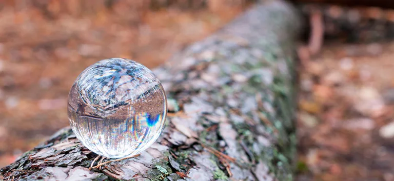 في أسبقيّة الميتافيزيقا على الأنطولوجيا عند "لفناس"