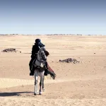 قراءة في سيرة الوليّ إبراهيم بن يعقوب (صَيْدُ عَقَارِبْ): من زعيم في البغي إلى ولّي للهدي