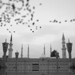 عائشة أمّ المؤمنين بين خيال الرواة وواقع الحياة