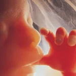 التعددية المعيارية في البيوإتيقا: رهان ميتا بيوإتيقي