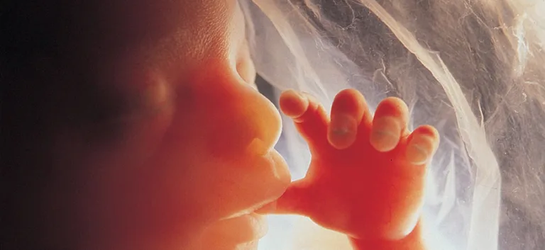 التعددية المعيارية في البيوإتيقا: رهان ميتا بيوإتيقي