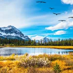 صفات اللّه في الثقافة العربيّة الإسلاميّة بين التصوّر القرآني وآراء المتكلّمين