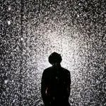 حنا أرندت الإنسان في مواجهة تفاهة الشر