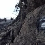 تنظيم داعش بين البقاء والتمدد:  رؤية استشرافية