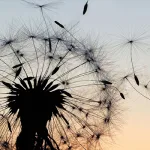 التفكيكية في النقد المغربي المعاصر:  محمد مفتاح، حميد لحمداني