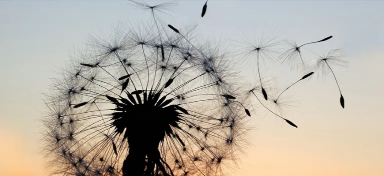 التفكيكية في النقد المغربي المعاصر:  محمد مفتاح، حميد لحمداني