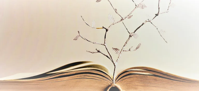 علماء السُّنَّـة وموقفهم من المنـطق بين القرن العاشر والثالث عشر الهجري (1500 – 1800)