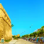 العلماء والسلطة السياسية: علماء مدينة صفاقس أنموذجًا