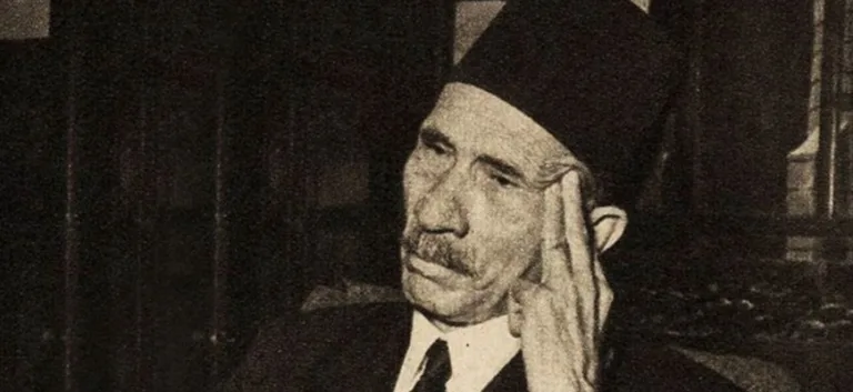 أحمد لطفي السيد