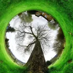 العلم واللاهوت في فلسفة نيوتن الطبيعية