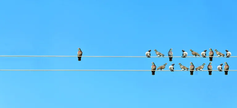 في جدل الفردية والجماعية:  في العقل الغربي المنفصل، والدين الناظم