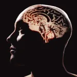 أقنعة الإسلام: بين افتراء الغاضبين وأطماع السياسيّين