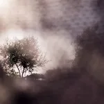 في البدء كان الحلم … صيغتان لحلم المأمون وتأويلاتهما