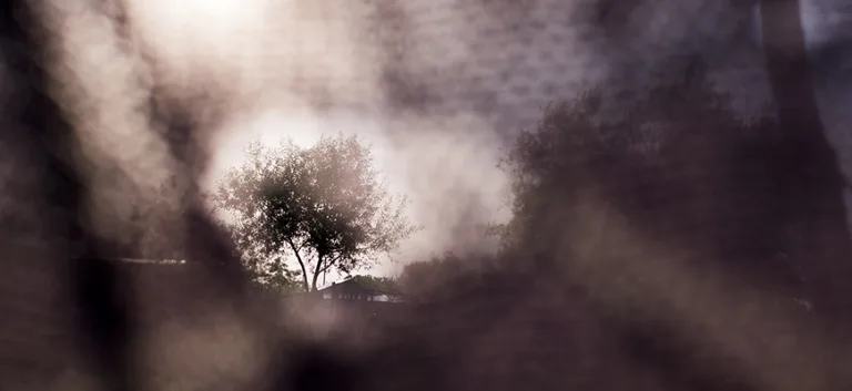 في البدء كان الحلم … صيغتان لحلم المأمون وتأويلاتهما