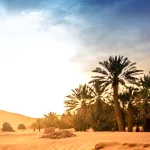 عمرو بن عبيد حياته وعصره