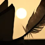 معضلة فهم السنّة في الثقافة الإسلاميّة وآثارها في تأسيس العقل النقلي