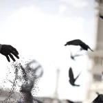 الاجتهاد الأخلاقي في مجال المقاصد الشرعيّة عند الفيلسوف طه عبد الرحمن