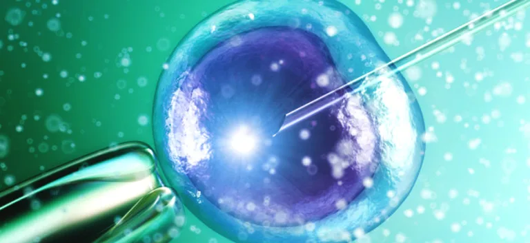 اللَّاهوت وتطور البيوإتيقا الأمريكيَّة