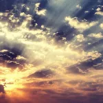 من مفهوم الواحد إلى مفهوم العلم: (ابن سينا وابن رشد أنموذجاً)