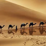 مقولتا؛ اقتصاد الغزو ونمط الإنتاج الحربي