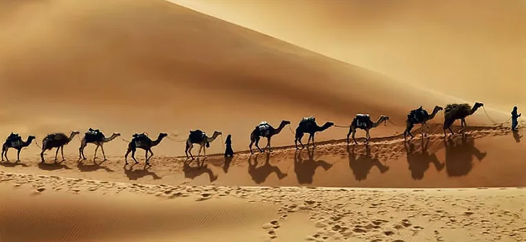 مقولتا؛ اقتصاد الغزو ونمط الإنتاج الحربي