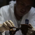 العلـم والــدين ومسـألة القيم