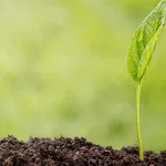 التجديد الديني… ولحظة إقبال