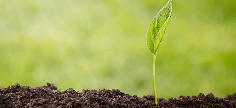 التجديد الديني… ولحظة إقبال