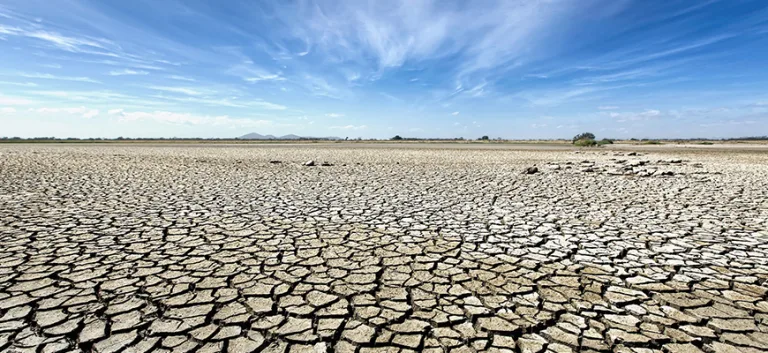 مؤشرات الإرهاب: تكمّية أم تعمّية؟