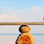 فقه المقاصد والموازنات ودوره في صناعة التشريع الوسطيّ