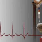 الموت الرحيم أو التنازل عن الحق في الحياة