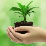 أخلاقيات البيئة؛ تطورها وتياراتها