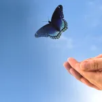 الحرية والدين: أنا أفكـر، إذن أنا حـر