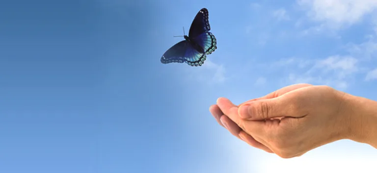 الحرية والدين: أنا أفكـر، إذن أنا حـر