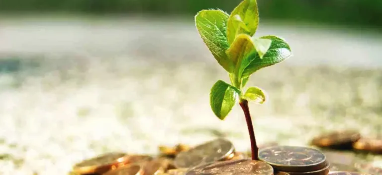 المنظمات الإسلامية وآليات بناء التضامن الإنساني: قراءة نقدية في تجاوز الأخوة المذهبية إلى رحاب الأخوة الكونية