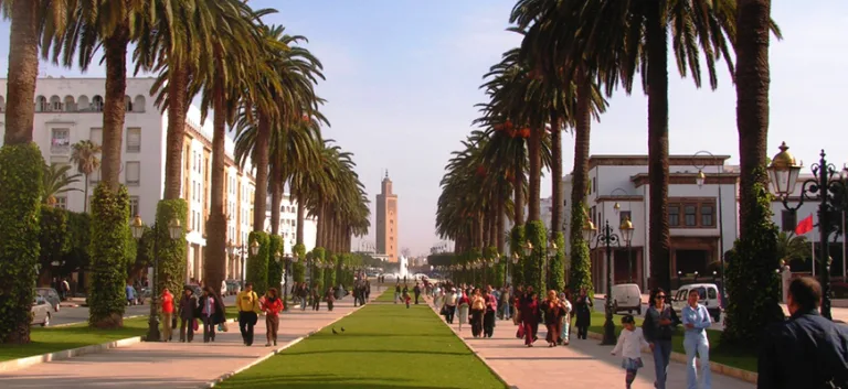 الشباب المغربي وحرية المعتقد جدل القيم الكونية والخصوصية