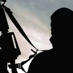 الذئب المنفرد… بعيداً عن عيون الراعي وعصاه الغليظة