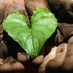 تأمُّلات معرفية حول المقاصد الإنسانية للرسالة الإسلامية