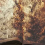 من موت الإله إلى موت المؤلف: دراسة مقارنة