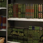 الفكر السلفي السُّنّي وأزمة الثقافة الروائيّة رؤية نقديّة لخدمات السُّنّة للقرآن