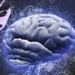 العقل المتجسّد