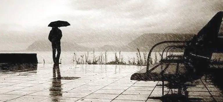 مجتمع الاحتقار