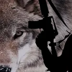 إرهاب الذئاب المنفردة؛  خطرٌ داهمٌ أم مبالغات دولية؟