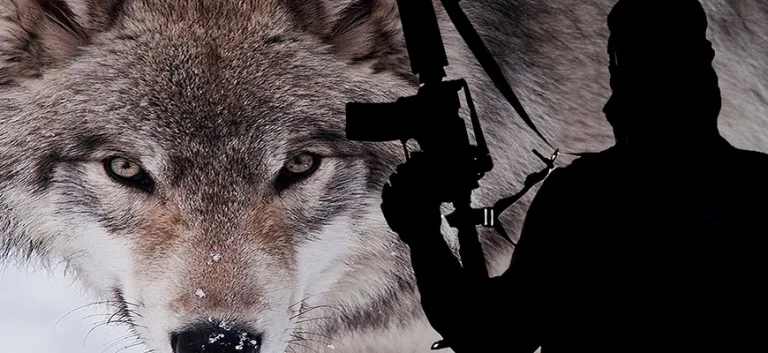 إرهاب الذئاب المنفردة؛  خطرٌ داهمٌ أم مبالغات دولية؟