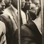 دوائر التّوحيد عند سيّد قطب: من الإيمان الصّوفي إلى الانفعال الثّوري