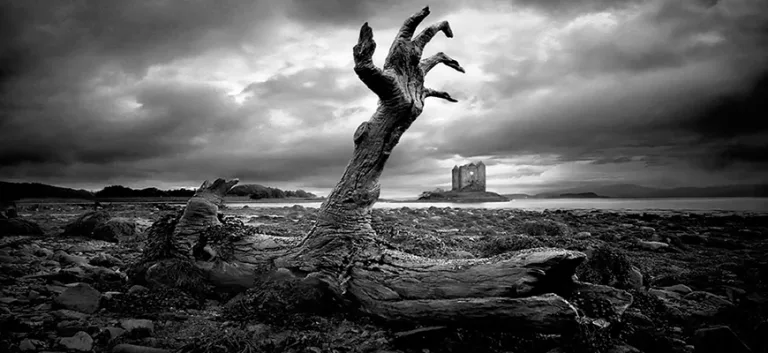 الشرّ المتجذِّر عند كانط: طبيعته وأصله وسبل التخلص منه