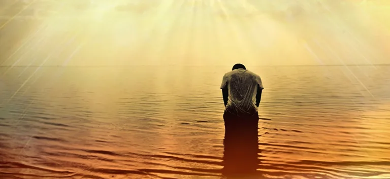 الاستطيقا بين الفلسفة والسياسة