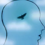 مسألة الحرية بين الإصلاح الديني والإصلاح السياسي؛  خيرالدين والطهطاوي أنموذجا